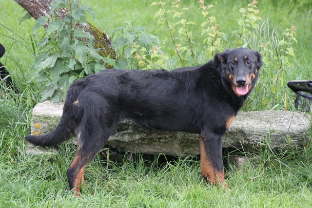 Destiny child Du domaine d'epalais