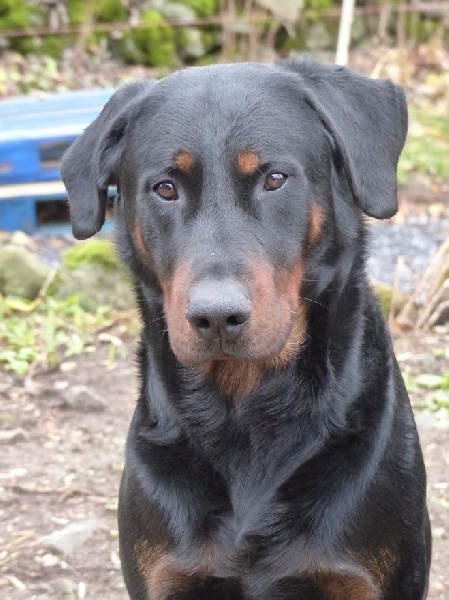 Iakary Du domaine d'epalais